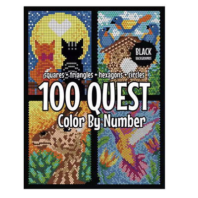100 Color by Number Quest Book